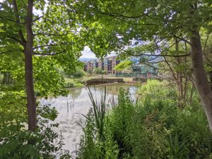 Photo 21- click for photo gallery